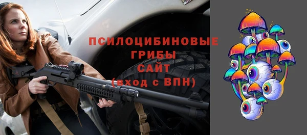 соль ск Алексеевка