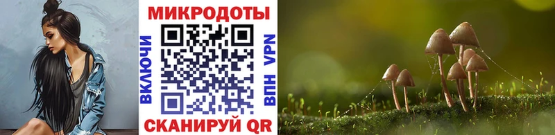 Галлюциногенные грибы GOLDEN TEACHER  Тавда 